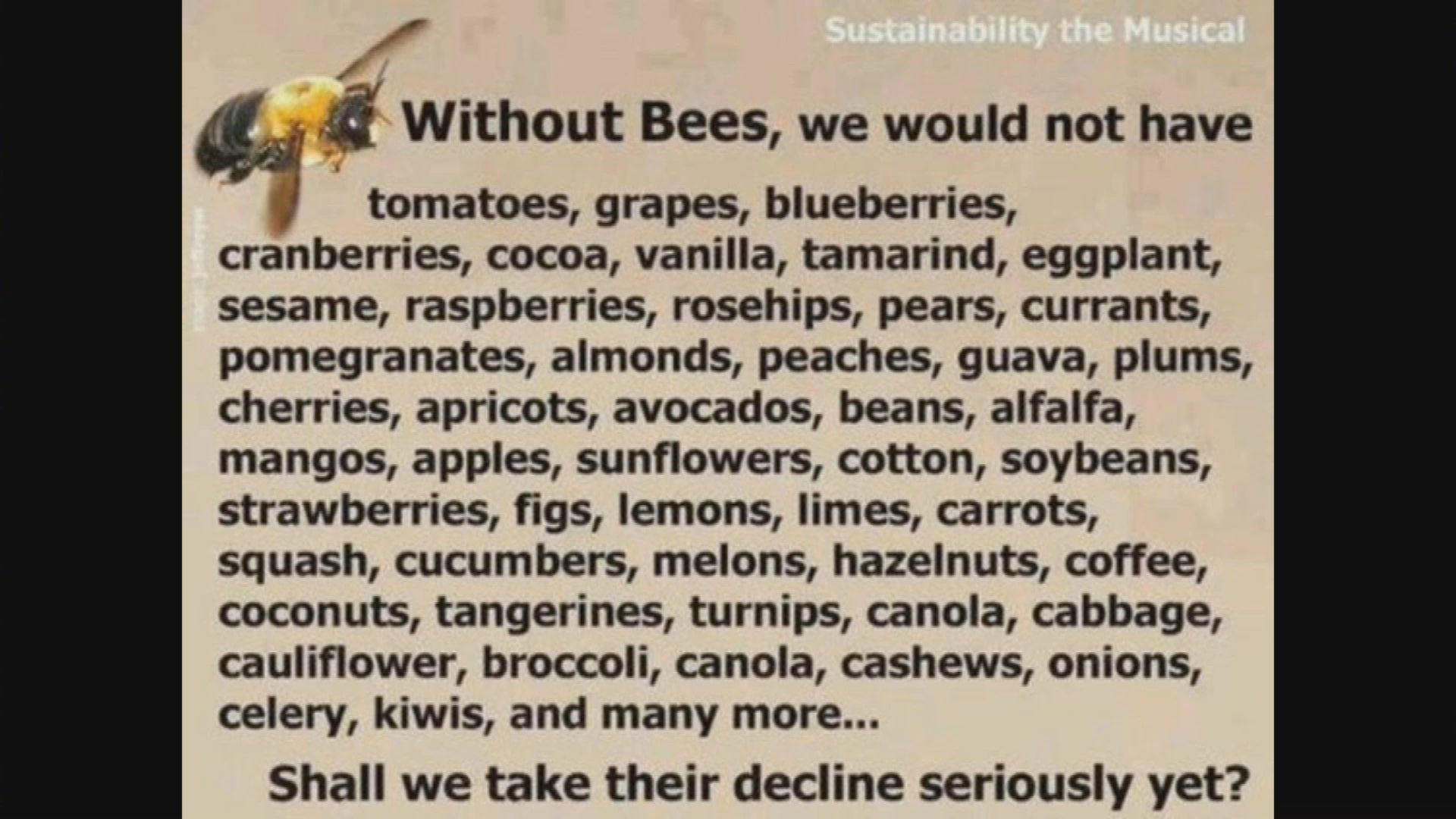 Thumbnail image for Conservation Matters: Pollinators