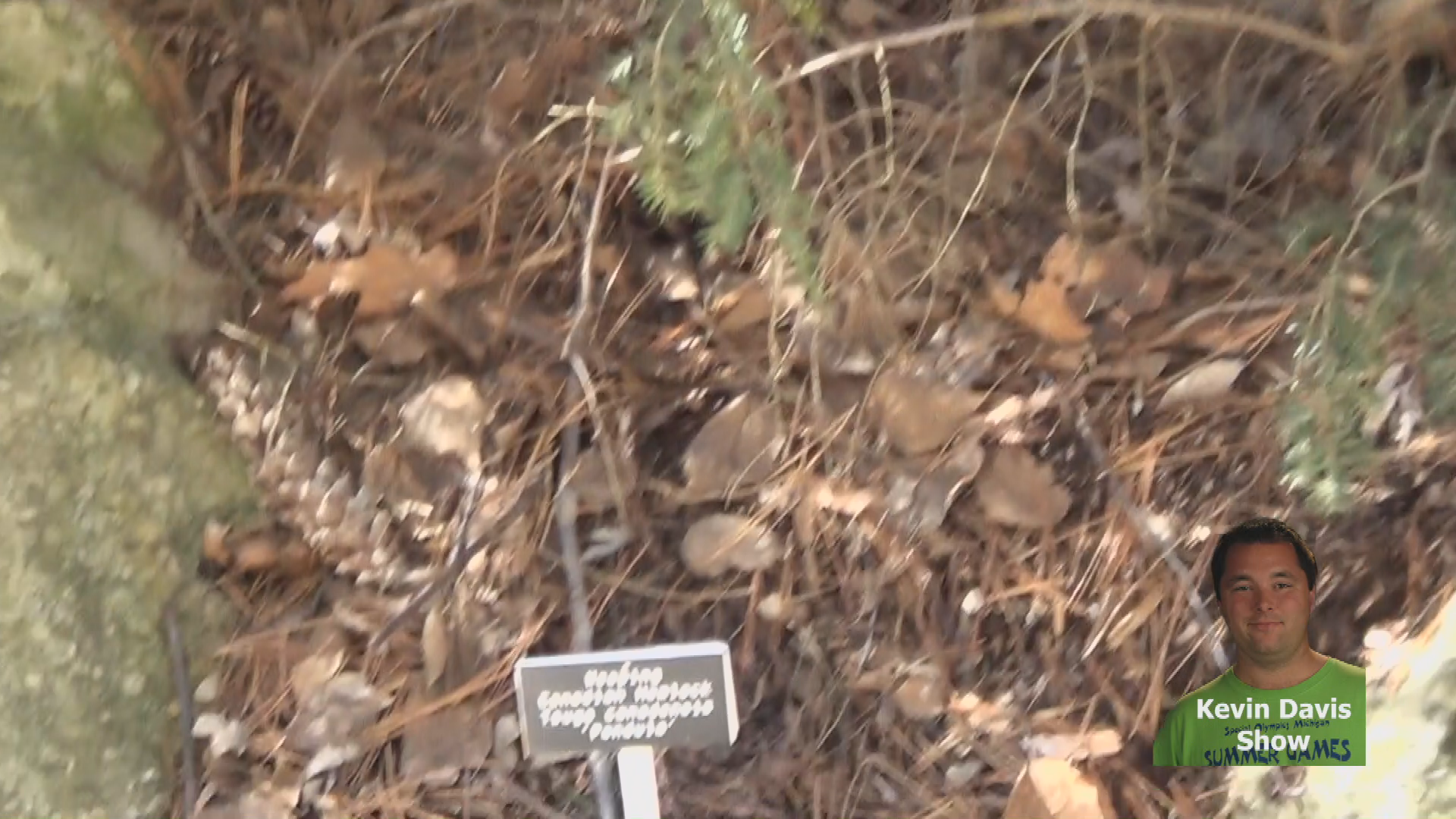 Thumbnail image for Kevin Davis - Spring at Dow Gardens