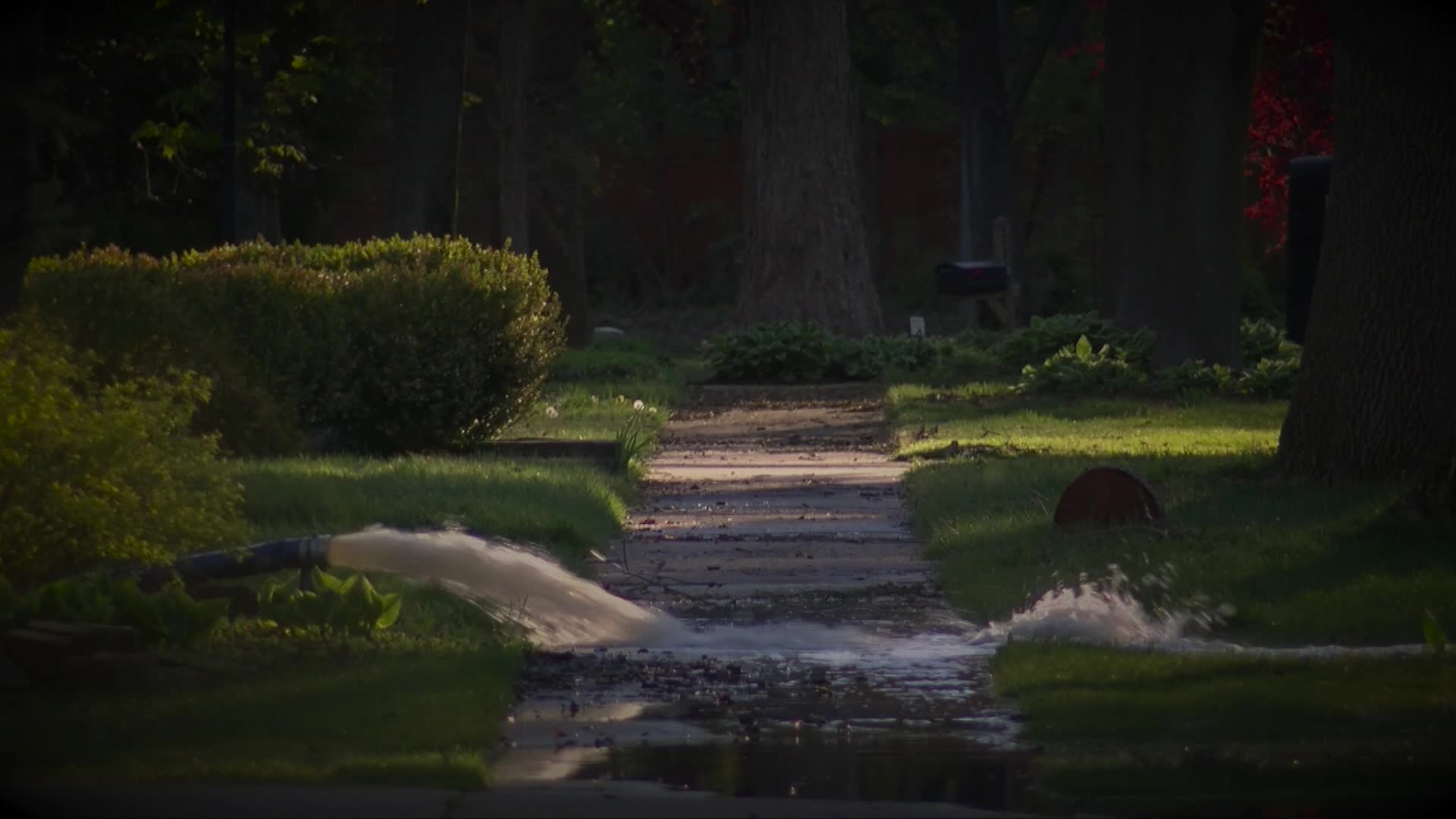 Thumbnail image for A Flood Remembered - Stories from 2020 Flood at MCFTA